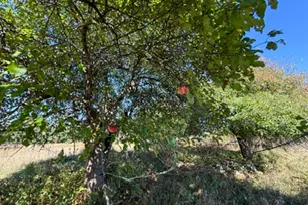 7200 E 46 Rd, Cadillac, MI 49601 - Photo 35