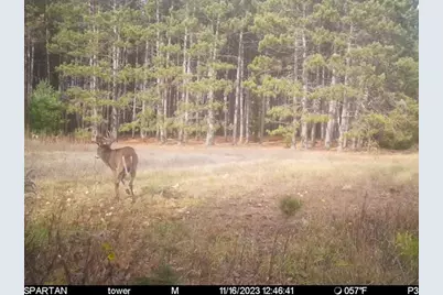 7200 E 46 Road, Cadillac, MI 49601 - Photo 57