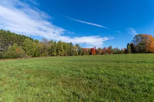 7200 E 46 Rd, Cadillac, MI 49601 - Photo 39