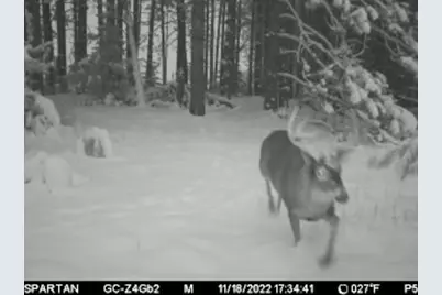 7200 E 46 Road, Cadillac, MI 49601 - Photo 29