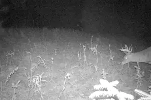 7200 E 46 Rd, Cadillac, MI 49601 - Photo 49