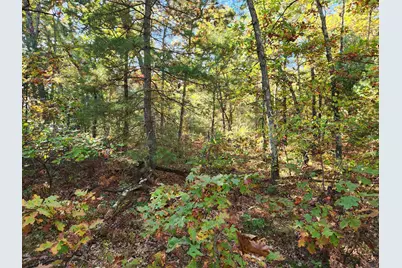 259 S Baker Road, Wellston, MI 49689 - Photo 5