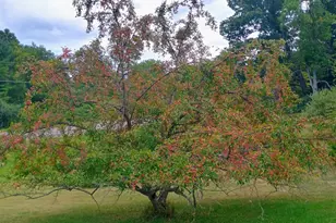 14985 157th Ave, Big Rapids, MI 49307 - Photo 39