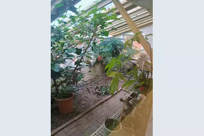 14985 157th Avenue, Big Rapids, MI 49307 - Photo 21