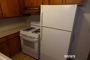 210 N Division St, Spring Lake, MI 49456 - Photo 11