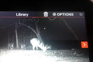 2480 S 148th Ave, Hesperia, MI 49421 - Photo 27