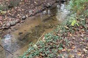 2480 S 148th Ave, Hesperia, MI 49421 - Photo 33