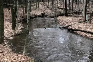 2480 S 148th Ave, Hesperia, MI 49421 - Photo 25