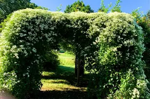 14359 S Dixie Hwy, Monroe, MI 48161 - Photo 47