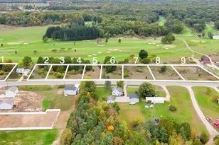 2160 W Ellis Parcel 4, Belding, MI 48809 - Photo 1