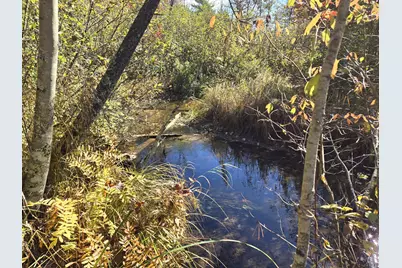 00 W Coolidge, Bitely, MI 49309 - Photo 3