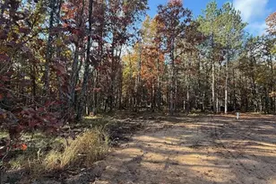 6710 W Dana's Circle, Baldwin, MI 49304 - Photo 9