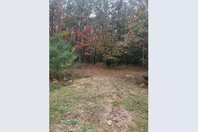 V/L Maple Road, Manistee, MI 49660 - Photo 3