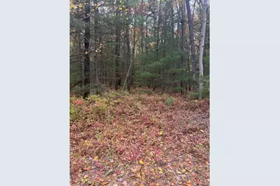 V/L Maple Road, Manistee, MI 49660 - Photo 5