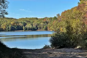 11167 Birwood Dr, Canadian Lakes, MI 49346 - Photo 19