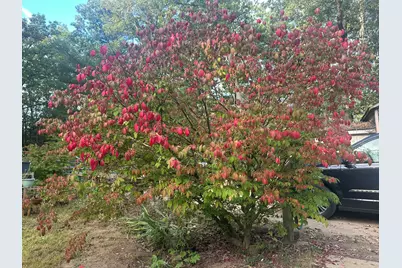 4355 117th Avenue, Allegan, MI 49010 - Photo 21