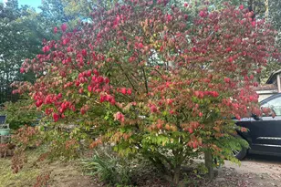 4355 117th Ave, Allegan, MI 49010 - Photo 21