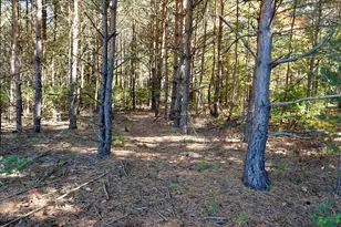 17751 Blue Star Hwy, South Haven, MI 49090 - Photo 35