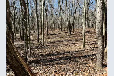 5725 Whitneyville Avenue SE, Alto, MI 49302 - Photo 19