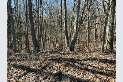 5725 Whitneyville Avenue SE, Alto, MI 49302 - Photo 11