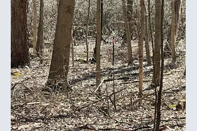 5725 Whitneyville Avenue SE, Alto, MI 49302 - Photo 27