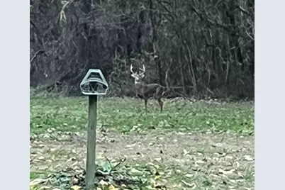 27890 S D Drive S, Albion, MI 49224 - Photo 61