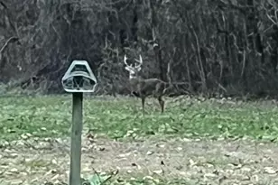 27890 S D Dr S, Albion, MI 49224 - Photo 61