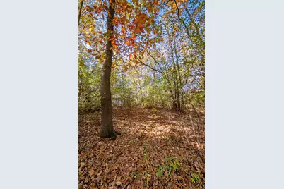 1460 Munith Road, Jackson, MI 49201 - Photo 21