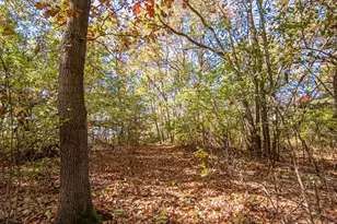 1460 Munith Rd, Jackson, MI 49201 - Photo 21