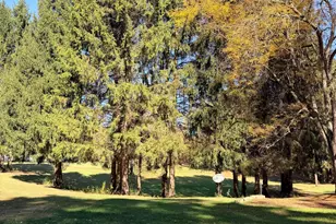 1460 Munith Rd, Jackson, MI 49201 - Photo 39