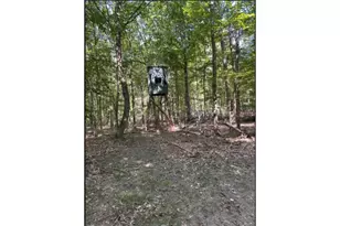 4390 22 Mile Rd NW, Kent City, MI 49330 - Photo 83