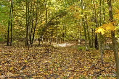 4390 22 Mile Road NW, Kent City, MI 49330 - Photo 67