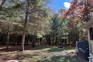 9198 Forest Pines Drive, Mecosta, MI 49332 - Photo 21