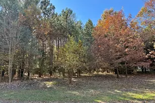 9198 Forest Pines Drive, Mecosta, MI 49332 - Photo 23