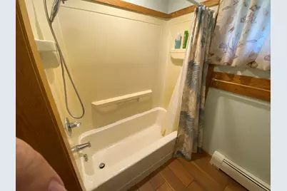 233 N Westwood Avenue, Fremont, MI 49412 - Photo 17