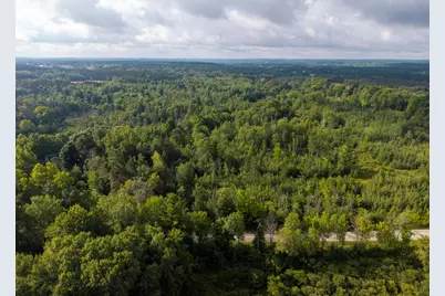 V/L 9 Mile Road, Reed City, MI 49677 - Photo 47