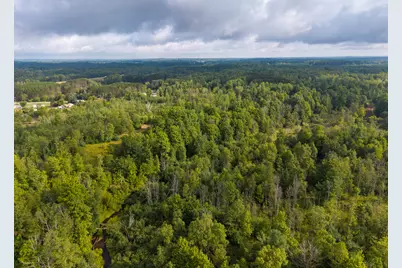 V/L 9 Mile Road, Reed City, MI 49677 - Photo 43