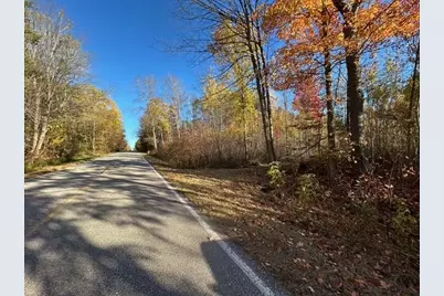 V/L 9 Mile Road, Reed City, MI 49677 - Photo 5