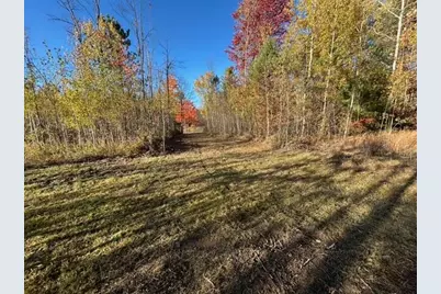 V/L 9 Mile Road, Reed City, MI 49677 - Photo 13