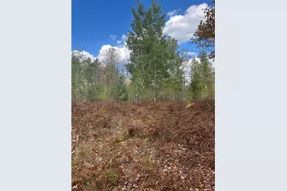 V/L 9 Mile Road, Reed City, MI 49677 - Photo 17