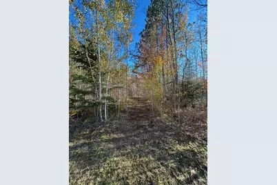 V/L 9 Mile Road, Reed City, MI 49677 - Photo 7