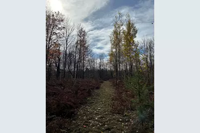 V/L 9 Mile Road, Reed City, MI 49677 - Photo 15