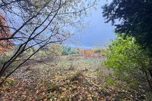 4496 N 172nd Ave, Walkerville, MI 49459 - Photo 11