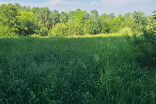 4496 N 172nd Ave, Walkerville, MI 49459 - Photo 53