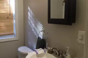 215 Bucholz Ct, Ann Arbor, MI 48103 - Photo 7