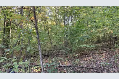 Vl 8th Avenue, Grand Junction, MI 49056 - Photo 3