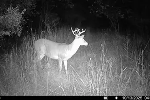 5760 Sunfish Lake Ave NE, Rockford, MI 49341 - Photo 39