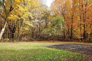 12134 Charles St, Rodney, MI 49342 - Photo 3