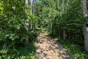 V/L North Ave, Bellevue, MI 49021 - Photo 1