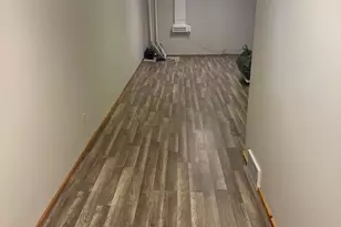 203 Baden Pl, Fremont, MI 49412 - Photo 27